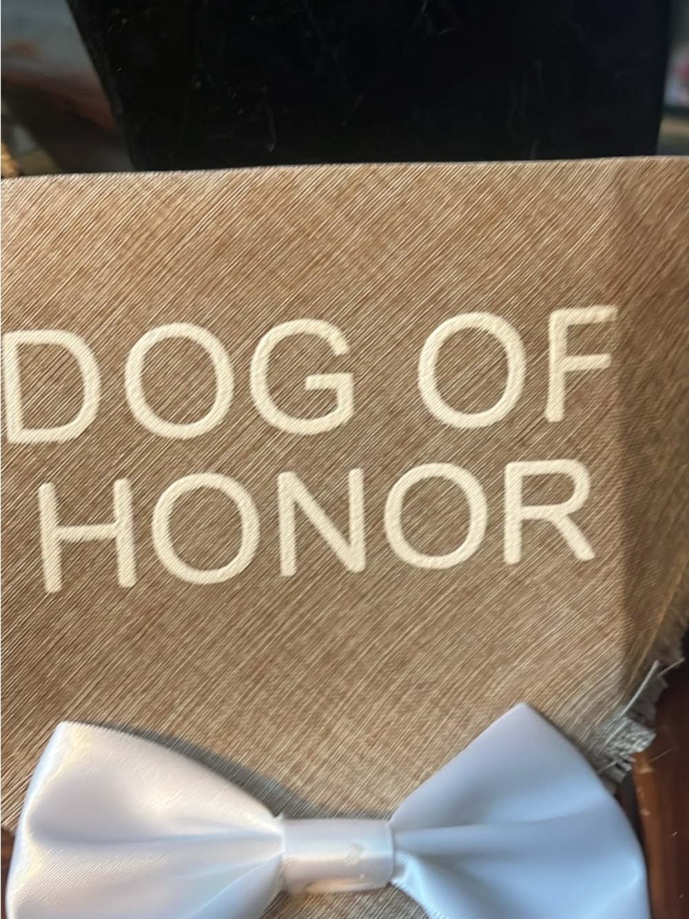 Dog of Honor Bandana White Bow